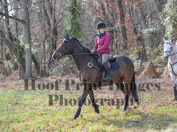 AndrewsBr(11-9-14)0570