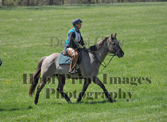 CheshirePC(4-16-16)0045