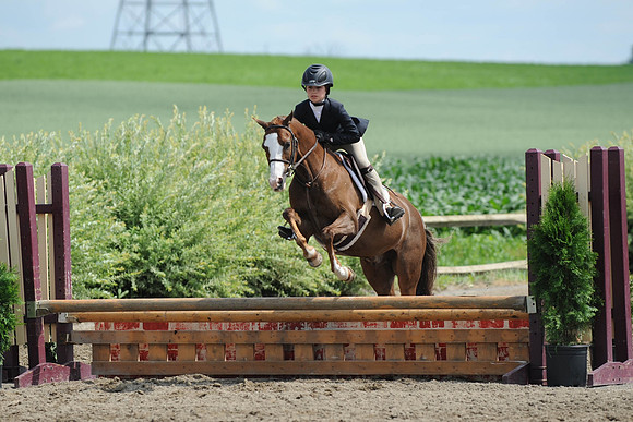 SC(6-28-14)SMPony0053