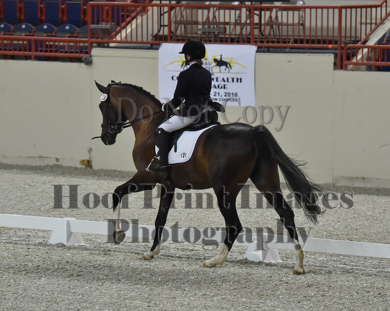 CWdressageII(8-21-16)1477