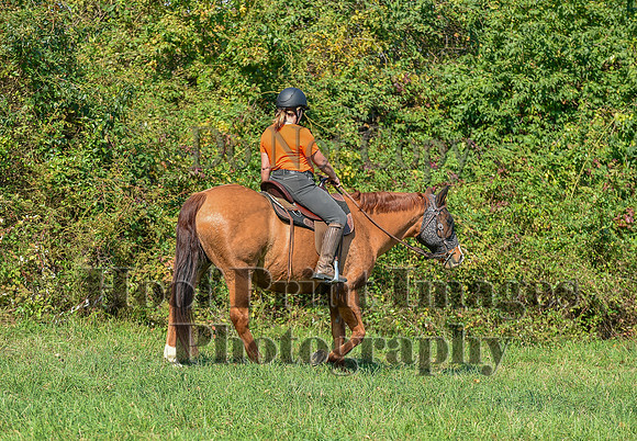 Born2Ride(10-13-24)0372