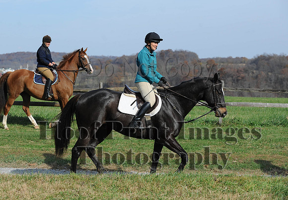 AndrewsBr(11-9-14)0404