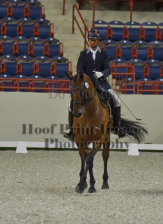 CWdressageI(8-20-16)0470