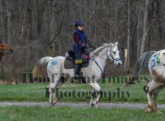 ChesapeakeSpring(4-10-22)0124