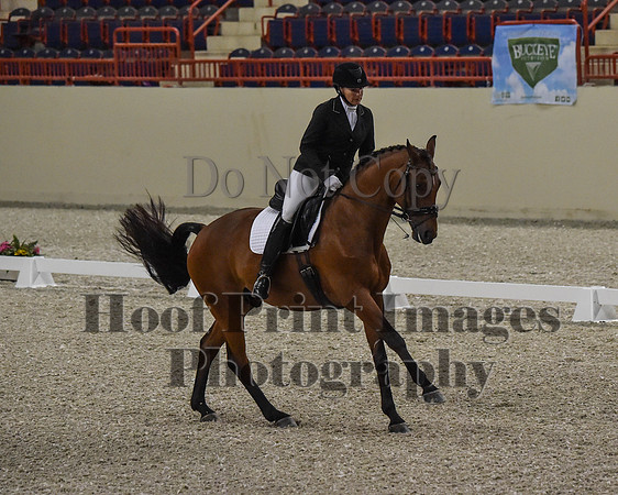 CWdressageII(8-21-16)0157