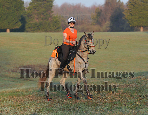 Foxcatcher(4-12-14)0241