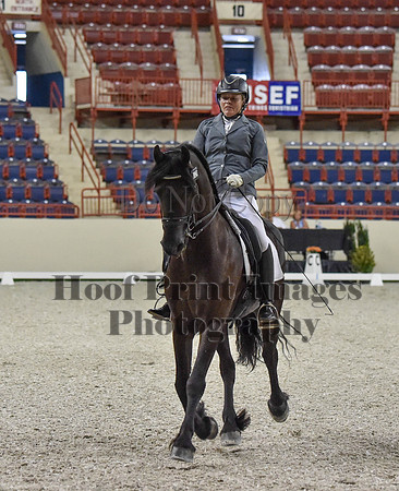 CWdressageI(8-20-16)0935