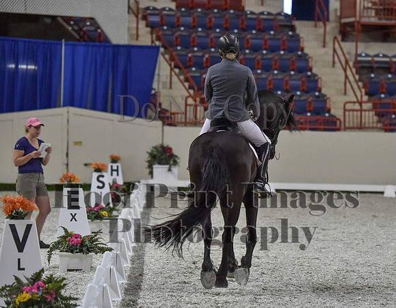 CWdressageI(8-20-16)1221
