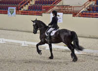 CWdressageI(8-20-16)0057
