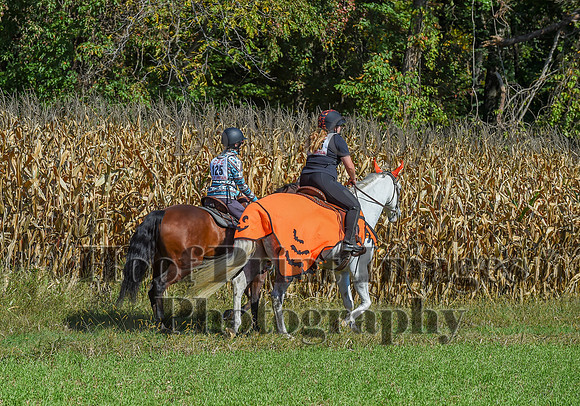 CheshirePonyClubPC(10-6-24)0424