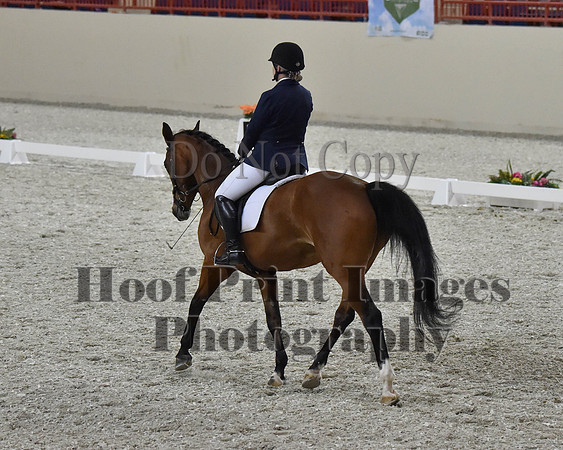 CWdressageII(8-21-16)2096