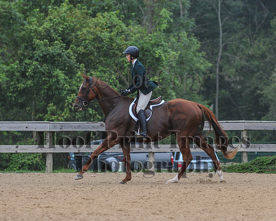 MHPS2(9-12-18)0059