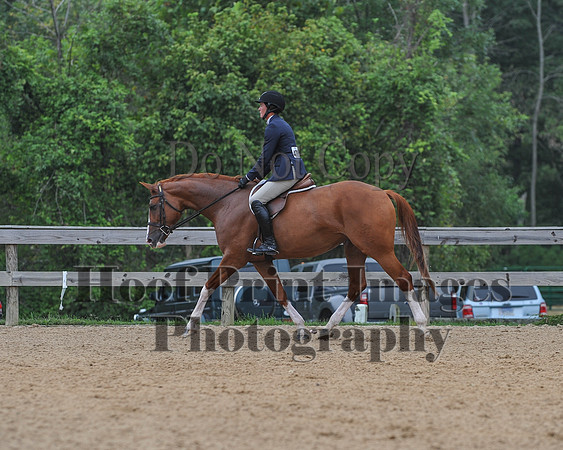 MHPS2(9-12-18)0111