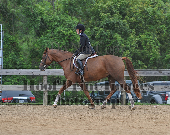 MHPS2(9-12-18)0149