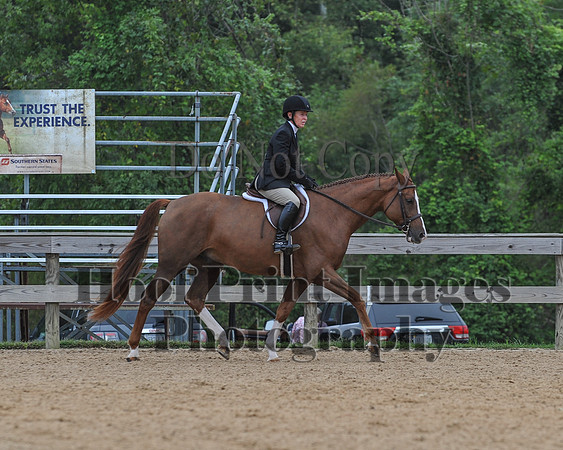 MHPS2(9-12-18)0157