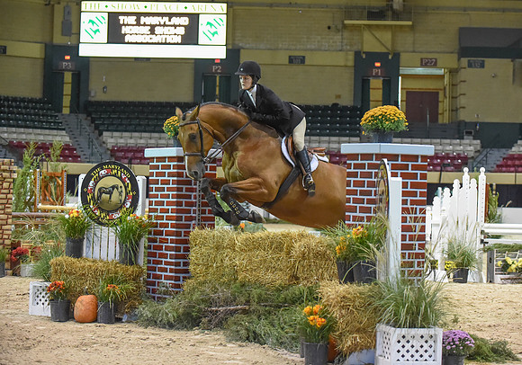 MHSAHtStFinH(9-12-14)0154