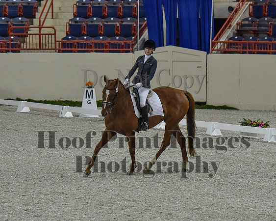 CWdressageII(8-21-16)0094
