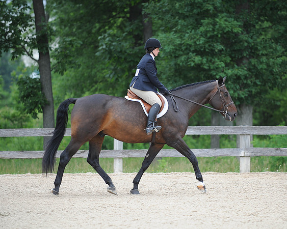 SL(6-21-14)ModAdtHun0092