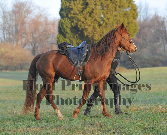 Foxcatcher(4-12-14)0221