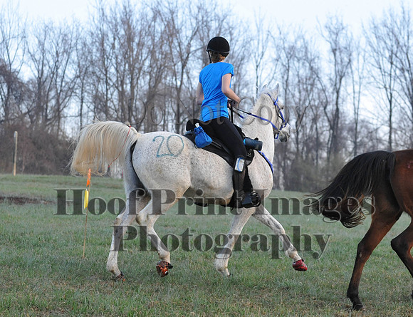 Foxcatcher(4-12-14)0069