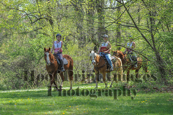 CheshireSpringPC2(4-28-24)0059