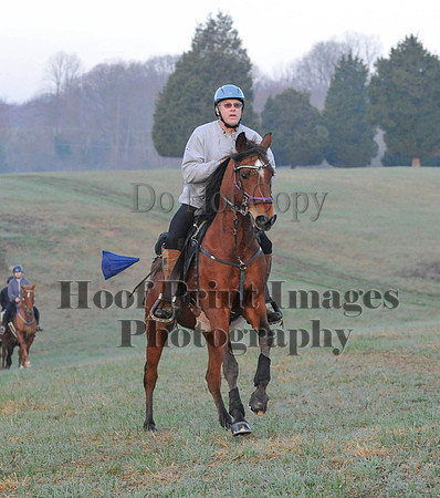 Foxcatcher(4-12-14)0077