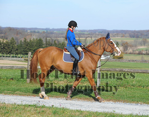 AndrewsBr(11-9-14)0646