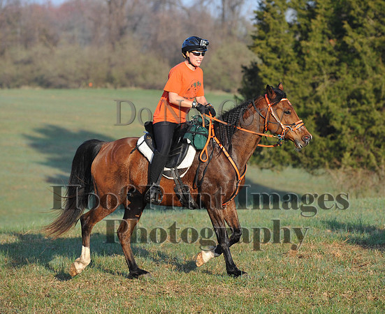 Foxcatcher(4-12-14)0533