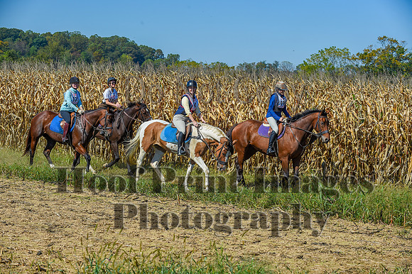 CheshirePonyClubPC(10-6-24)0504