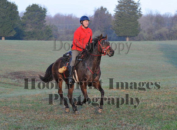 Foxcatcher(4-12-14)0364