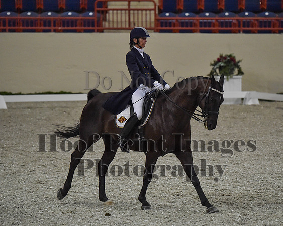 CWdressageII(8-21-16)0719