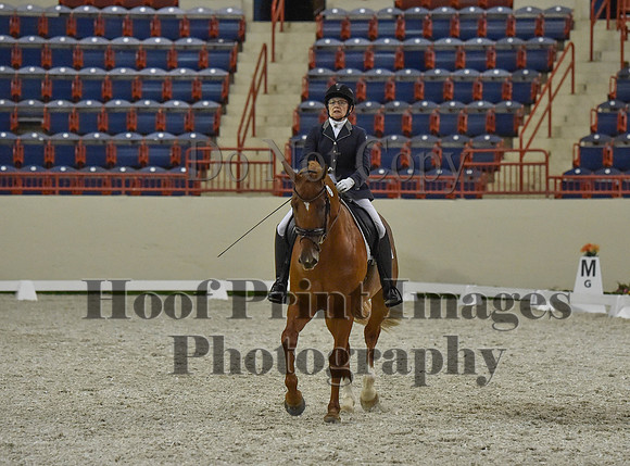 CWdressageI(8-20-16)1251
