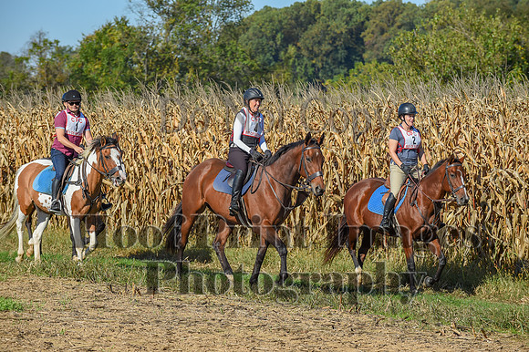 CheshirePonyClubPC(10-6-24)0060