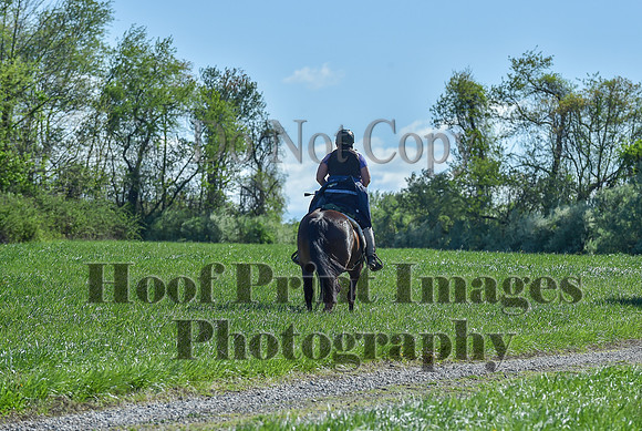 ChesapeakeSpring(4-27-25)0615