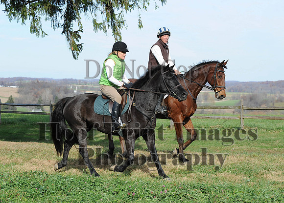 AndrewsBr(11-9-14)0513