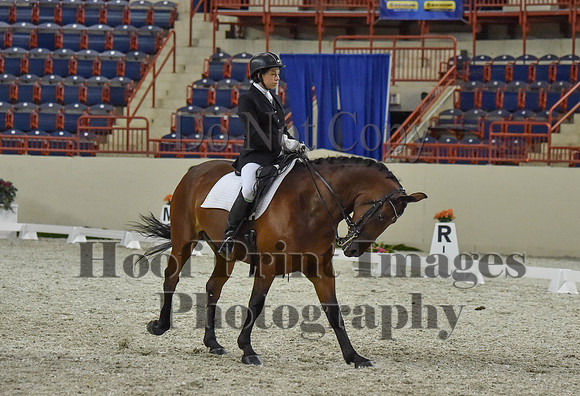 CWdressageI(8-20-16)1307