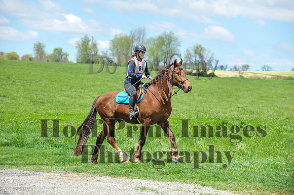 MrStewartsCheshirePC1(4-27-25)0332