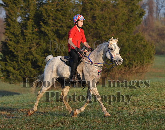 Foxcatcher(4-12-14)0298