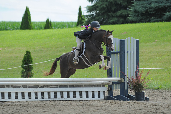 SC(6-28-14)SMPony0075