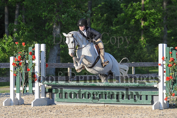 BRSa(5-17-14)SMChP0087