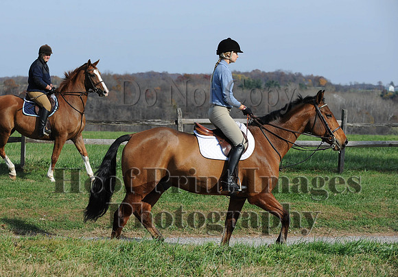 AndrewsBr(11-9-14)0409
