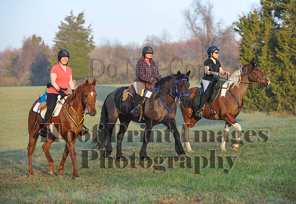 Foxcatcher(4-12-14)0239