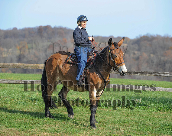 AndrewsBr(11-9-14)0318
