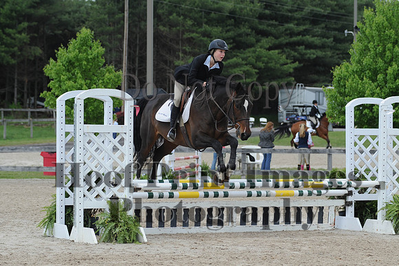 BRSa(5-17-14)0.8mJCl0030