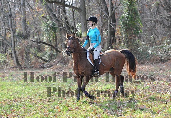 AndrewsBr(11-9-14)0604