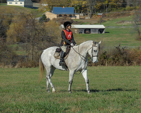 BHPC(11-15-15)0564