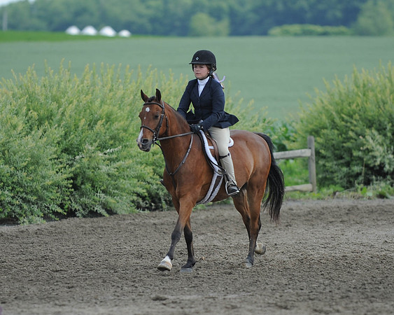 SC(6-28-14)SMPony0030