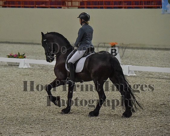 CWdressageII(8-21-16)0199
