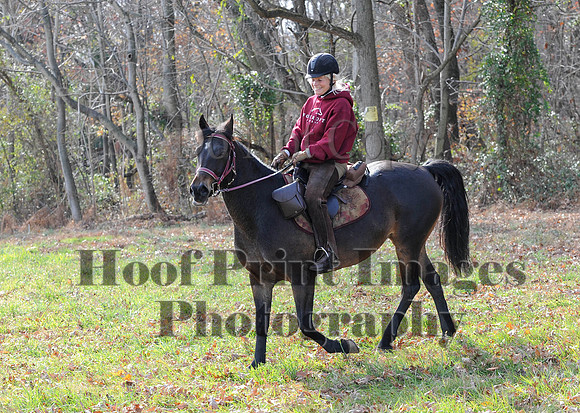 AndrewsBr(11-9-14)0552