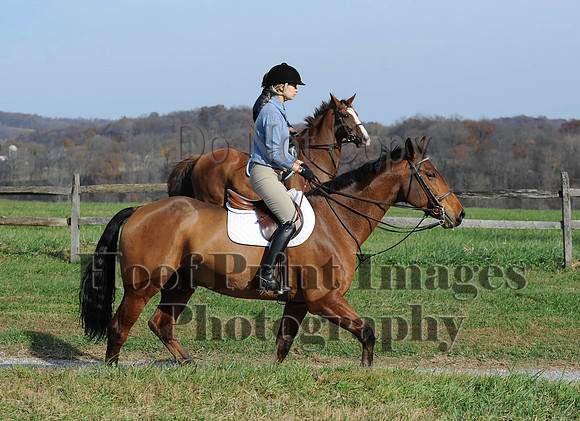 AndrewsBr(11-9-14)0406